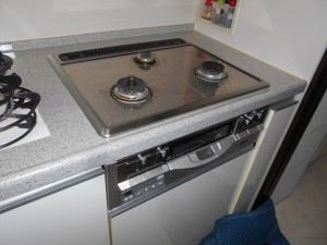 DW3299DTS3STR