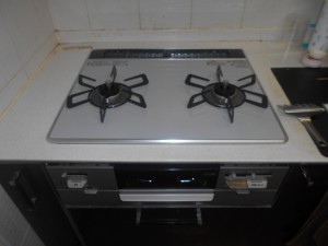 RS21W28P12TV